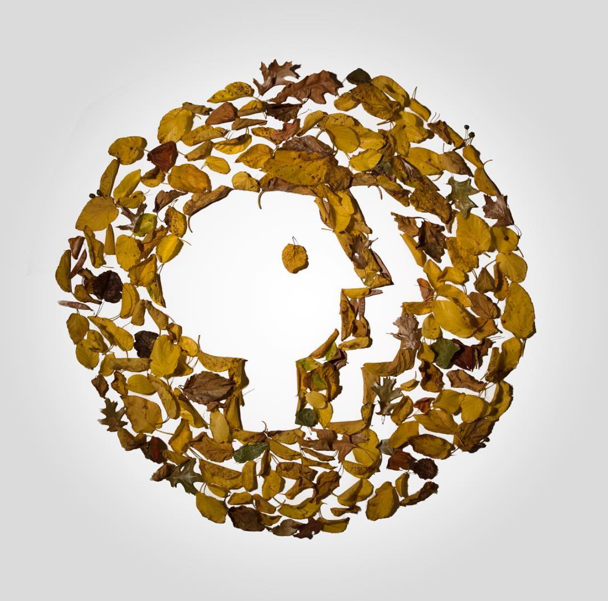 Public Broadcasting Service (PBS) logo made out of fall leaves
